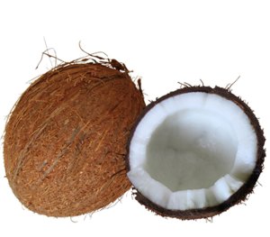 Cocos