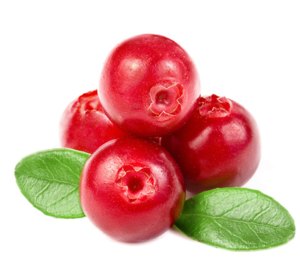 Cranberry