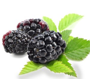 E-Liquid - 040 - Brombeere