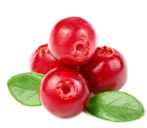 E-Liquid - 042 - Cranberry